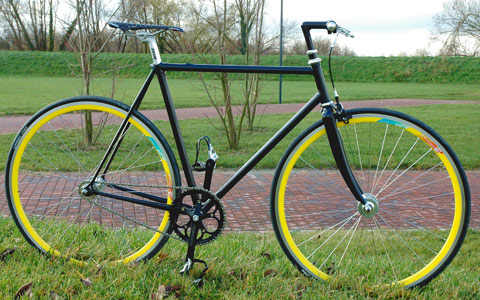 iVO 006